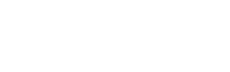 risr/ logo